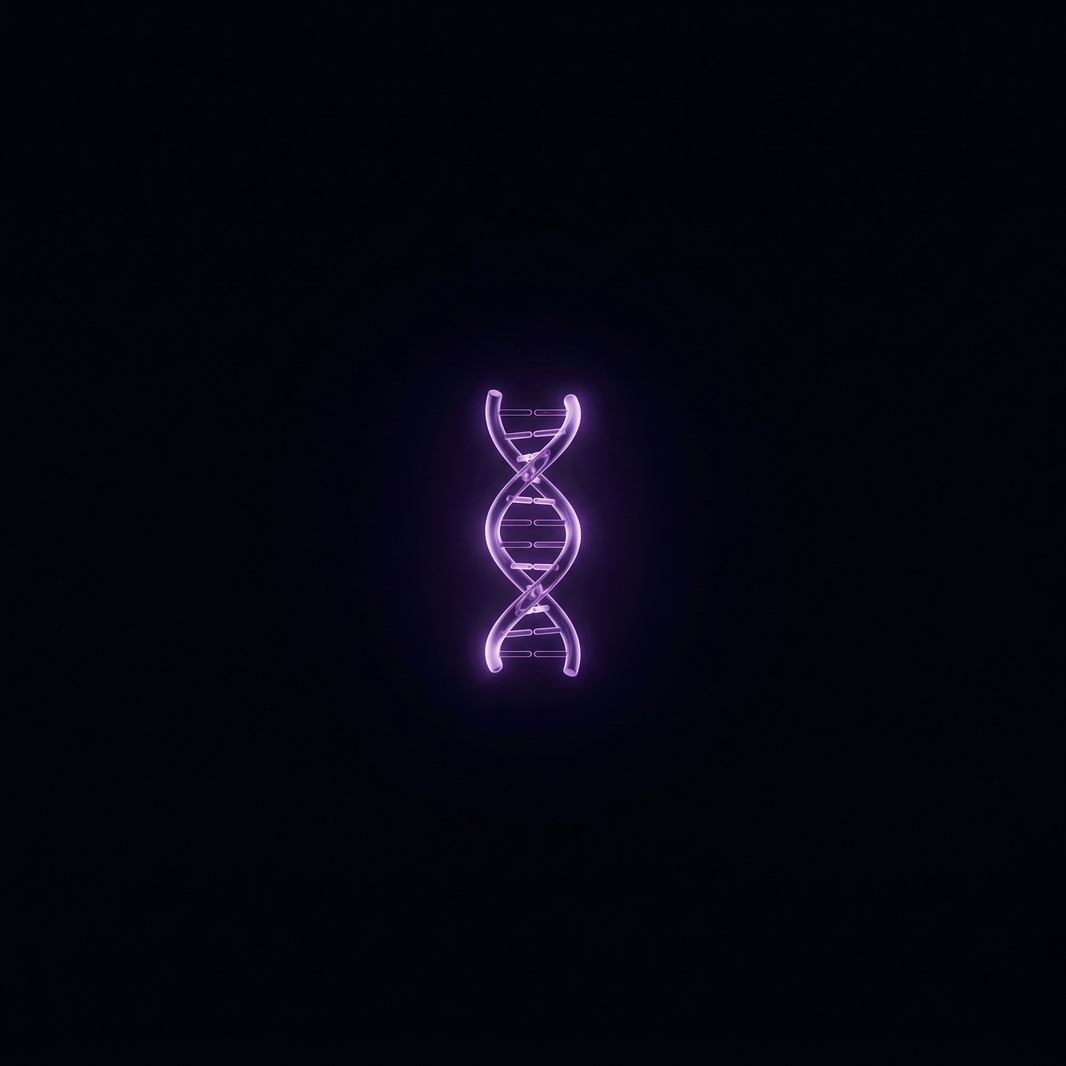 Program Full Longevity