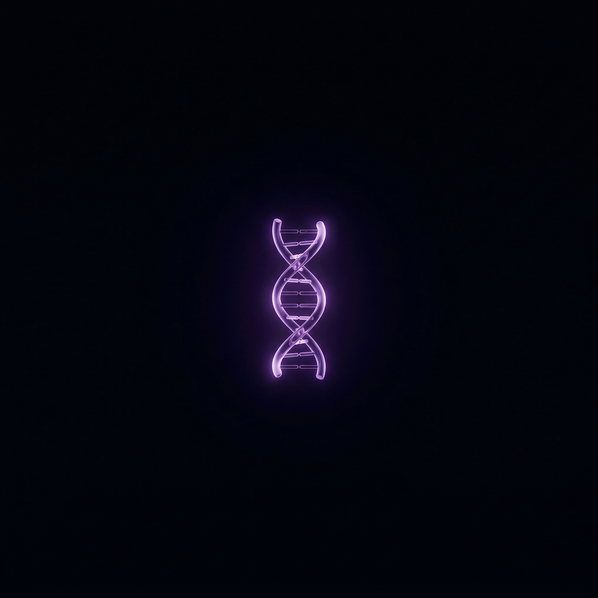 Program Full Longevity